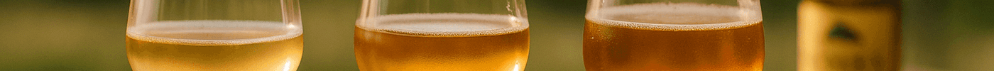 Temperatura ideal para servir sidra: guia completo