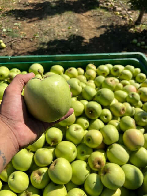 Porque começámos a Alvora: o sabor que faltava
