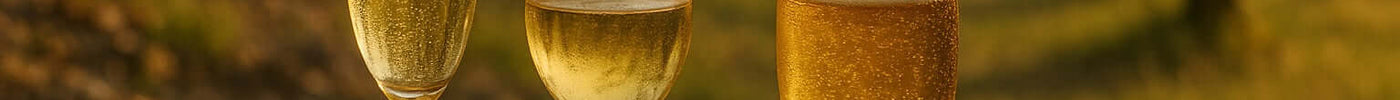 O teu primeiro gole: como escolher a sidra perfeita para ti